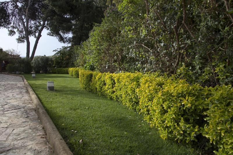 B&B Villa Seta Agrigent Exterior foto